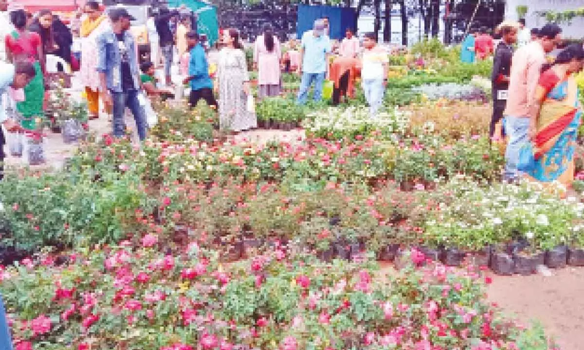 Hyderabad: Nursery Mela brings people closer to nature again at Necklace Road