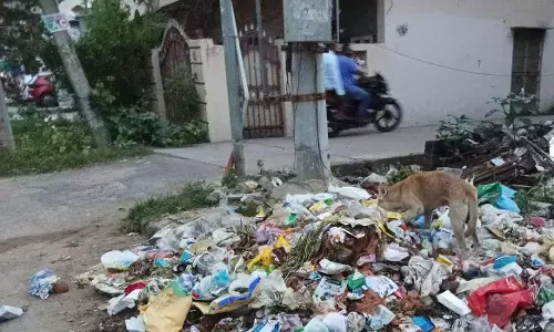 Garbage dumped on the road at AT Agraharam fourth lane in Guntur, that was not removed for the past few days