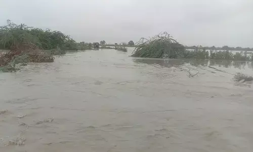 Streams Kaipa Vagu and Yerra Vagu flowing above danger mark level in Koilakuntla mandal on Sunday
