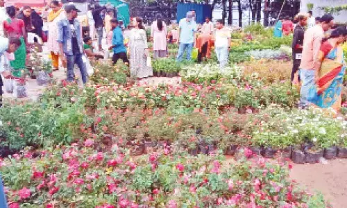 Hyderabad: Nursery Mela brings people closer to nature again at Necklace Road