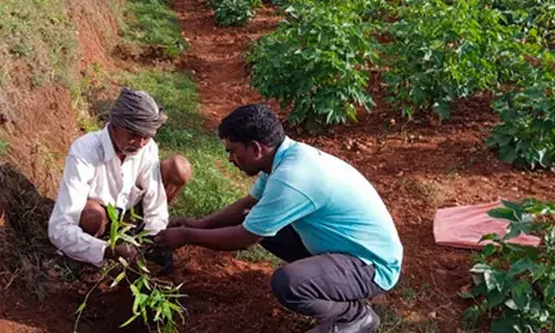 Amazon to invest $15 mn in nature-based projects in Asia-Pacific