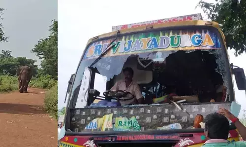 The jumbo which damaged the windshield of a bus at Artham village in Komarada mandal in Parvathipuram-Manyam district on Monday
