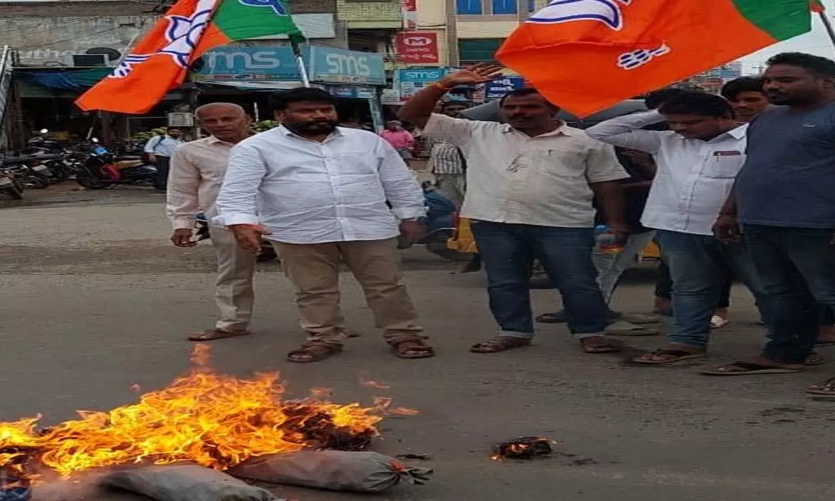 BJP leaders burning an effigy of DMK leader Udhayanidhi Stalin effigy in Sathupslli on Tuesday