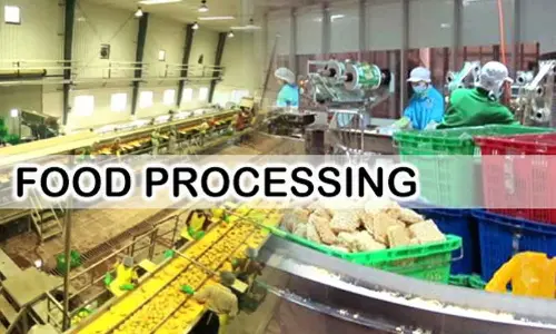 PLI 2.0 for food processing on anvil