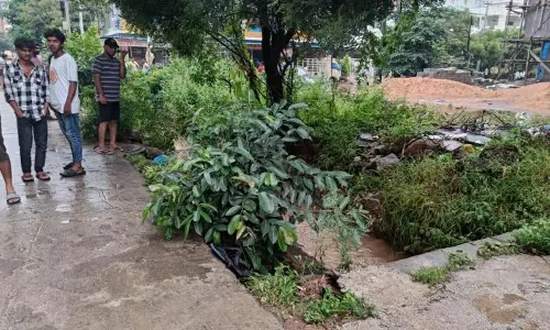 Nalas and people’s lives in global city is still a concern