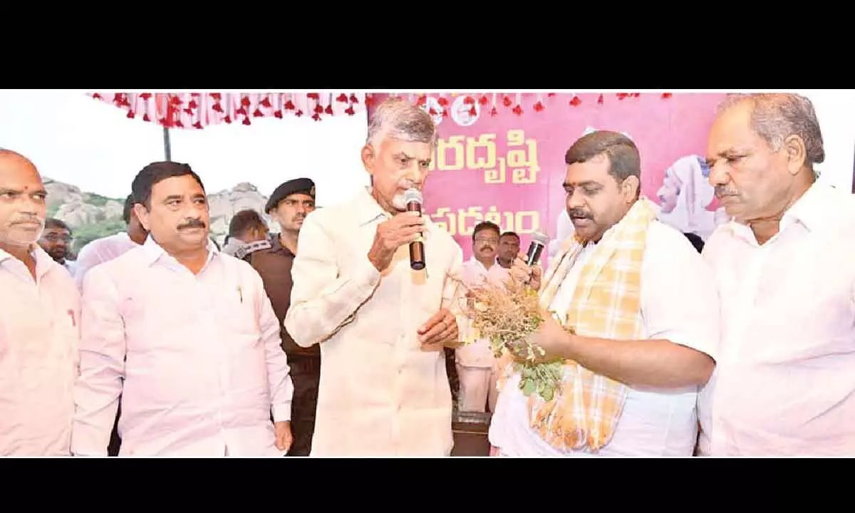 Chandrababu seeing the withered groundnut crop being shown by farmers in Kalyandurgam on Wednesday