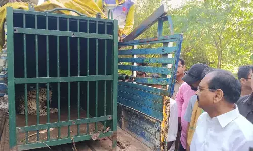 TTD Chairman Visit Where Leopard Captured, Says Devotees Safety is Priority