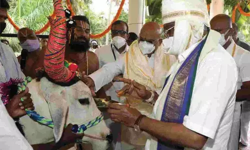Sri Krishna Janmashtami Celebrations Held at Sri Venkateswara Gowshala in Tirupati