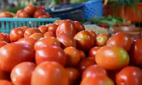 Cost of vegetarian thali up 24 pc in Aug on higher tomato prices: Report