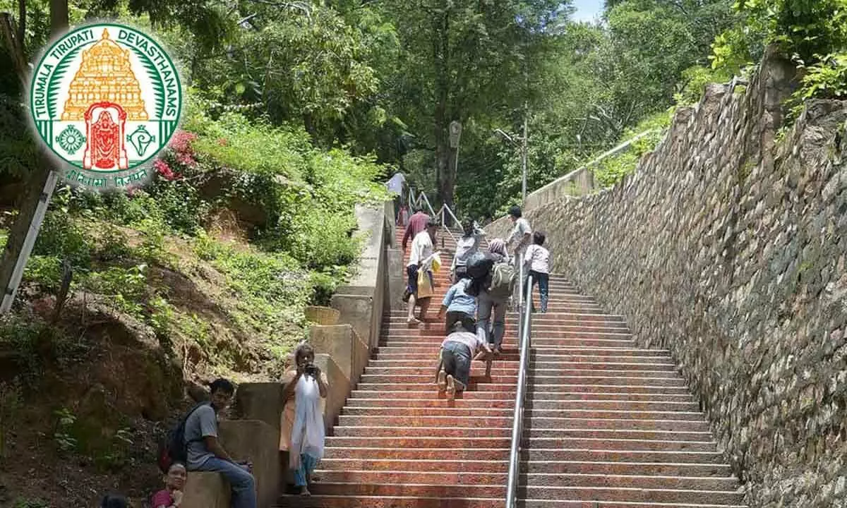 TTD enhances measures for safety of devotees at walkway, likely to install iron fence