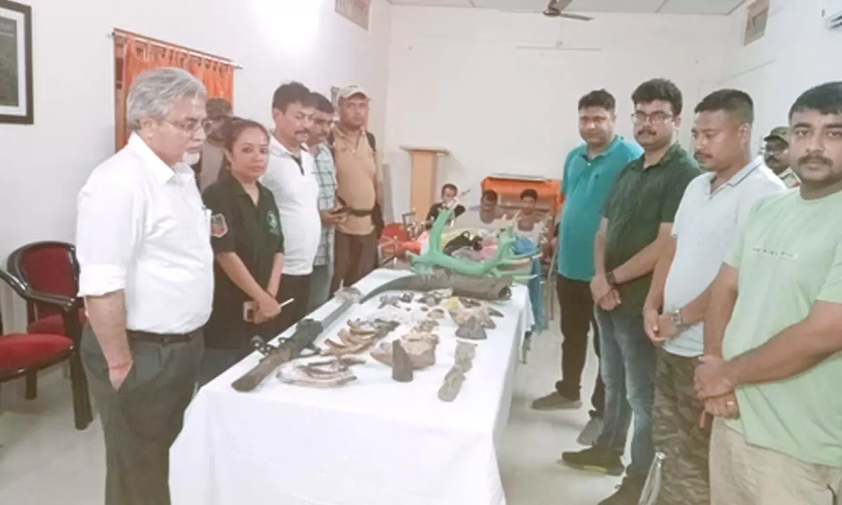 Rhino horn, animal body parts found in Assam; 5 held