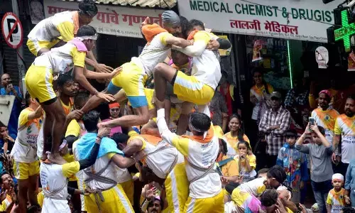 Dahi Handi fest: 35 Govindas hurt