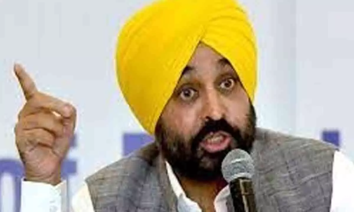 Chandigarh: Bhagwant Mann appoints 710 revenue officials