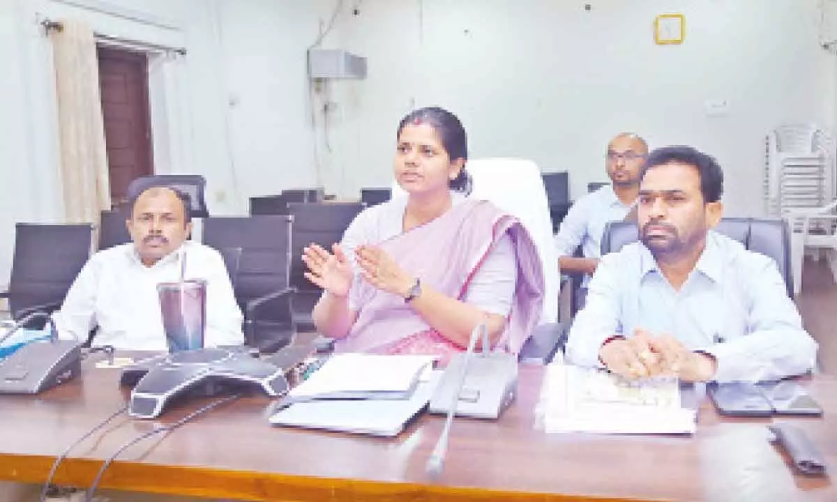 Weed out errors in voters list: Collector Ila Tripathi