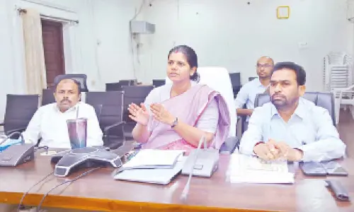 Weed out errors in voters list: Collector Ila Tripathi