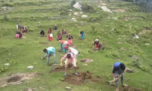 Assam eyes nine Guinness Records with mega plantation drive