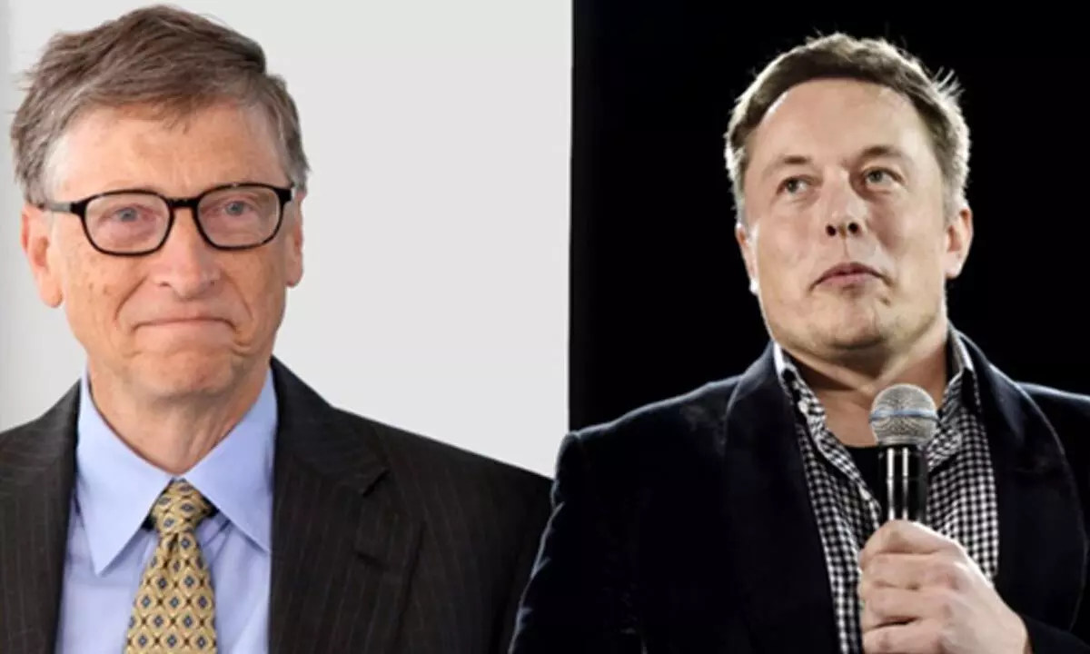 Musk was super mean to me: Bill Gates on shorting Tesla stock worth $1.5 bn