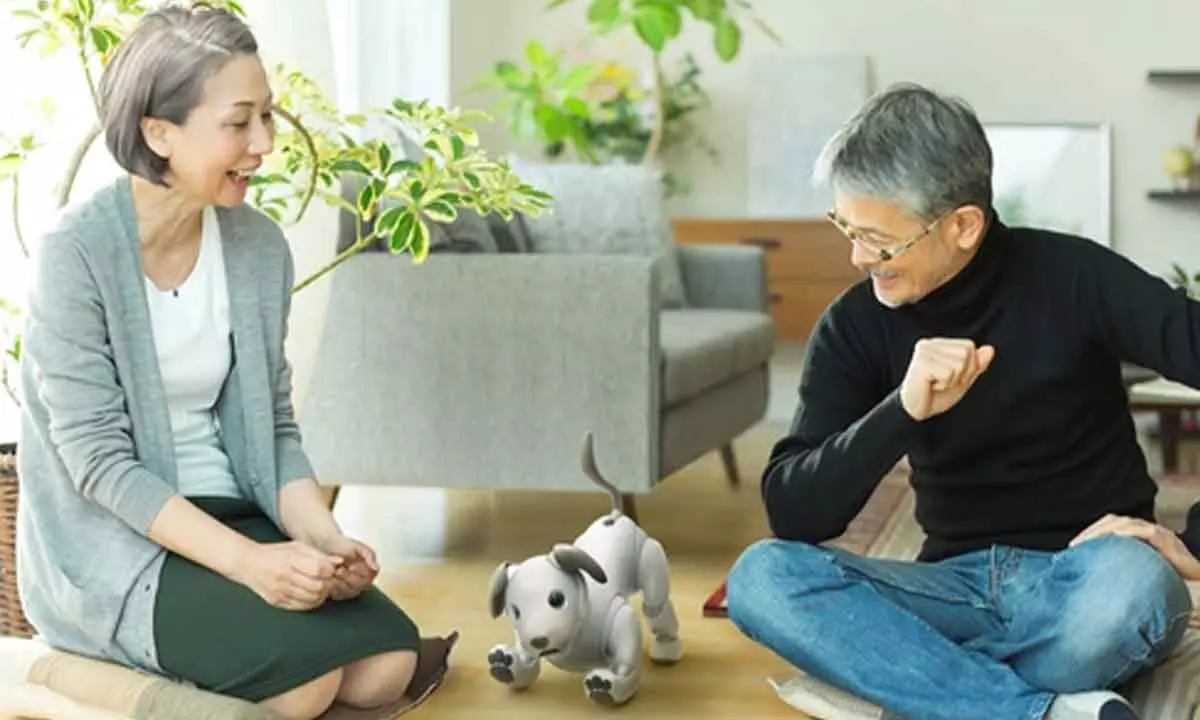 Sony launches foster care programme to repair its ageing robot dogs