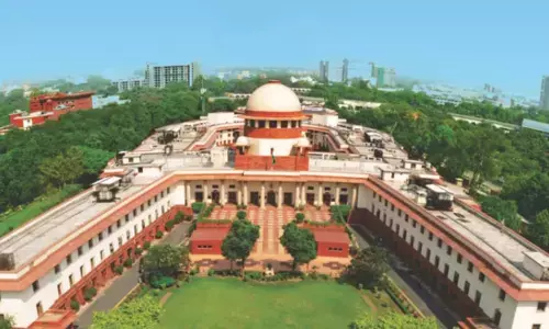 SC urged to take suo moto cognizance on rising stray dogs attacks