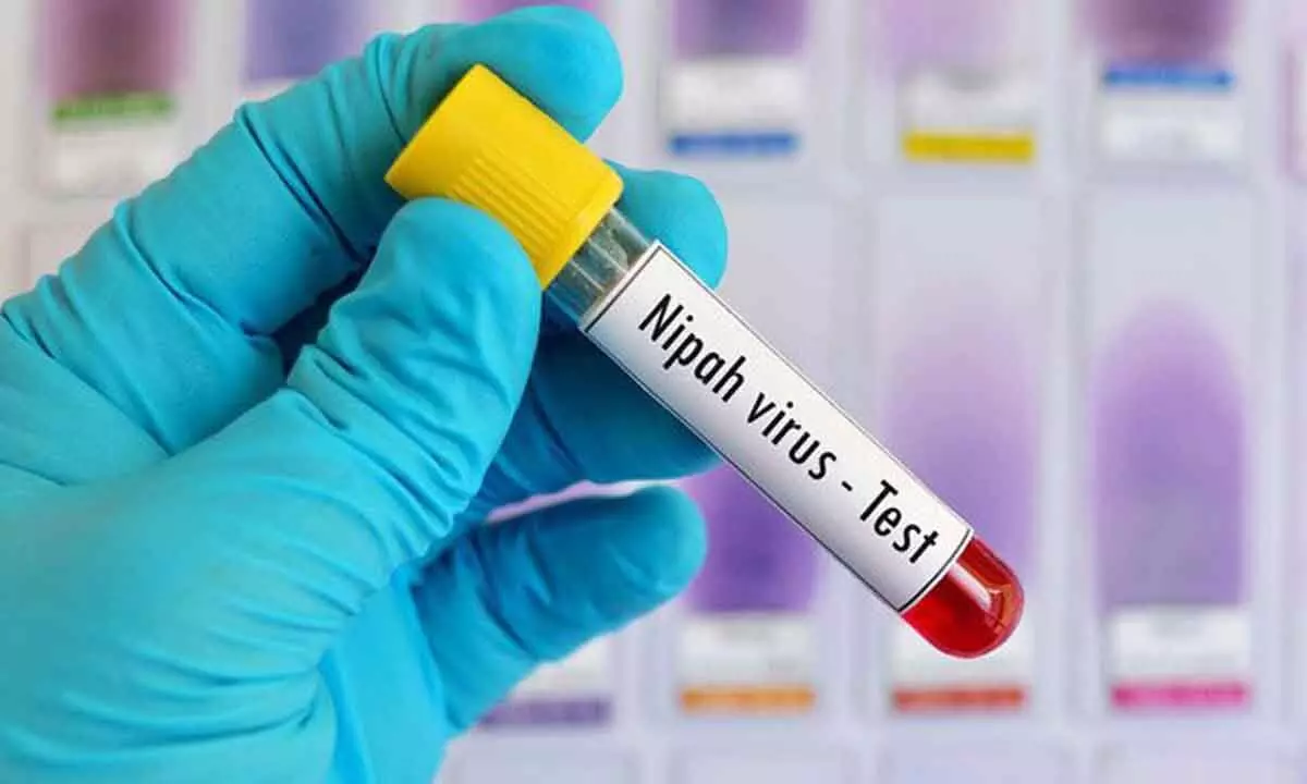 Nipah Virus Alert: Kerala Monitors Possible Outbreak After Two Unnatural Deaths