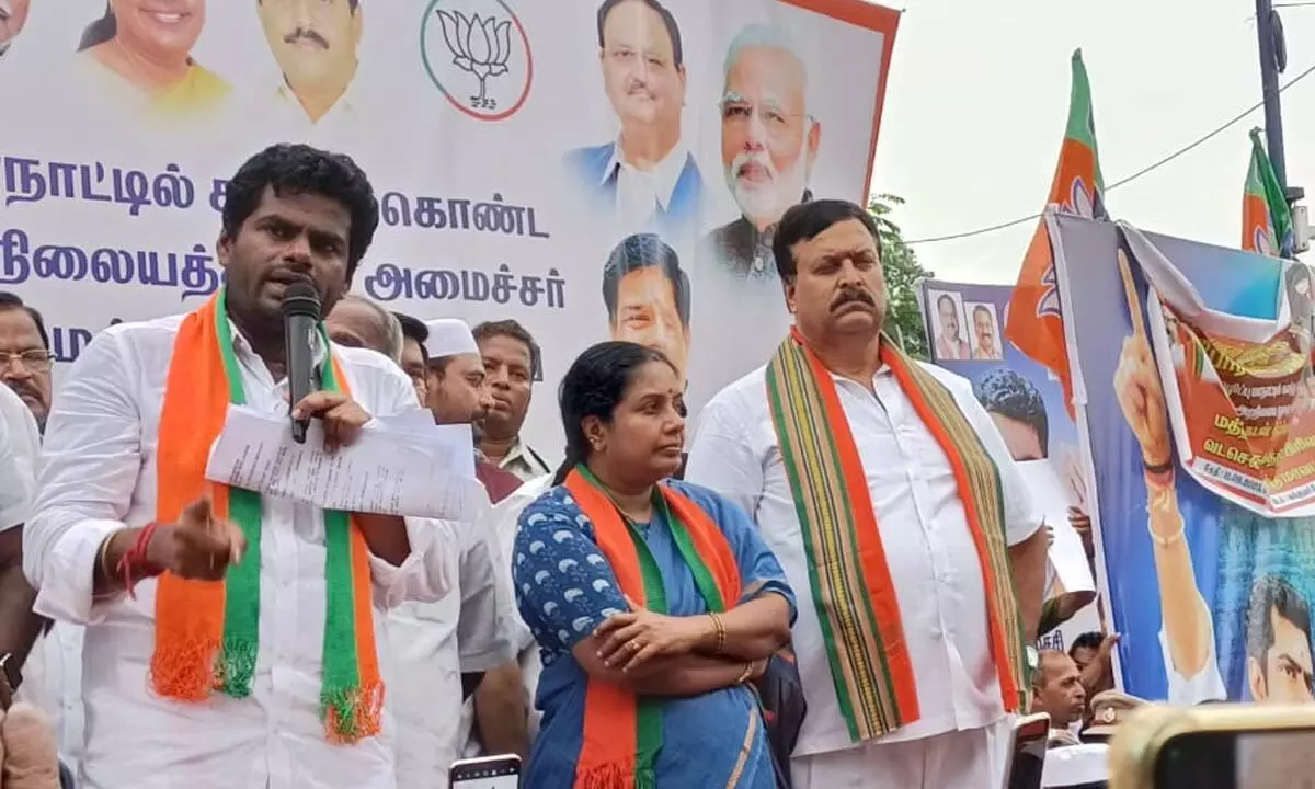 BJP flays Tamil Nadu Minister’s remarks on Sanatan Dharma