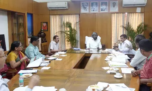 Environment Ministers formula to curb Plaster of Paris Ganesha, which is harmful to the environment