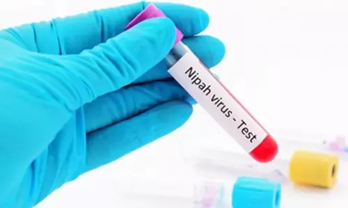 Nipah outbreak: No new case in Kerala, 42 samples test negative