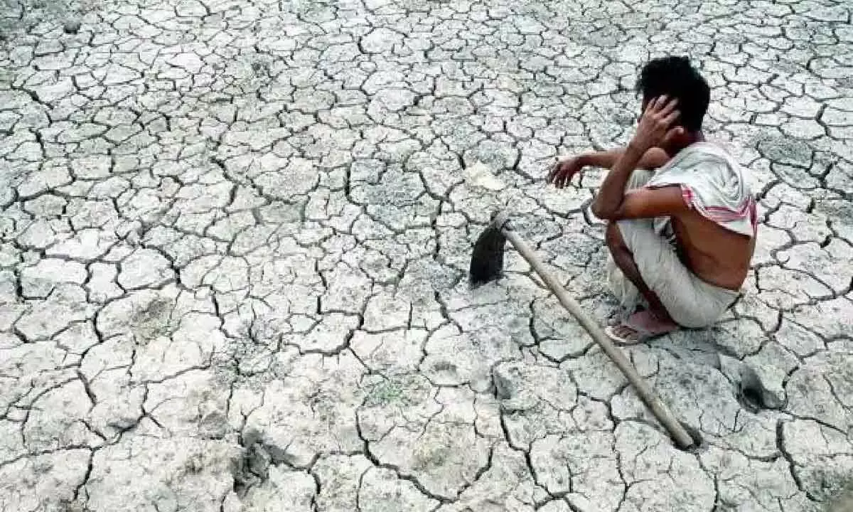 Karnataka: 161 taluks declared severely drought-hit