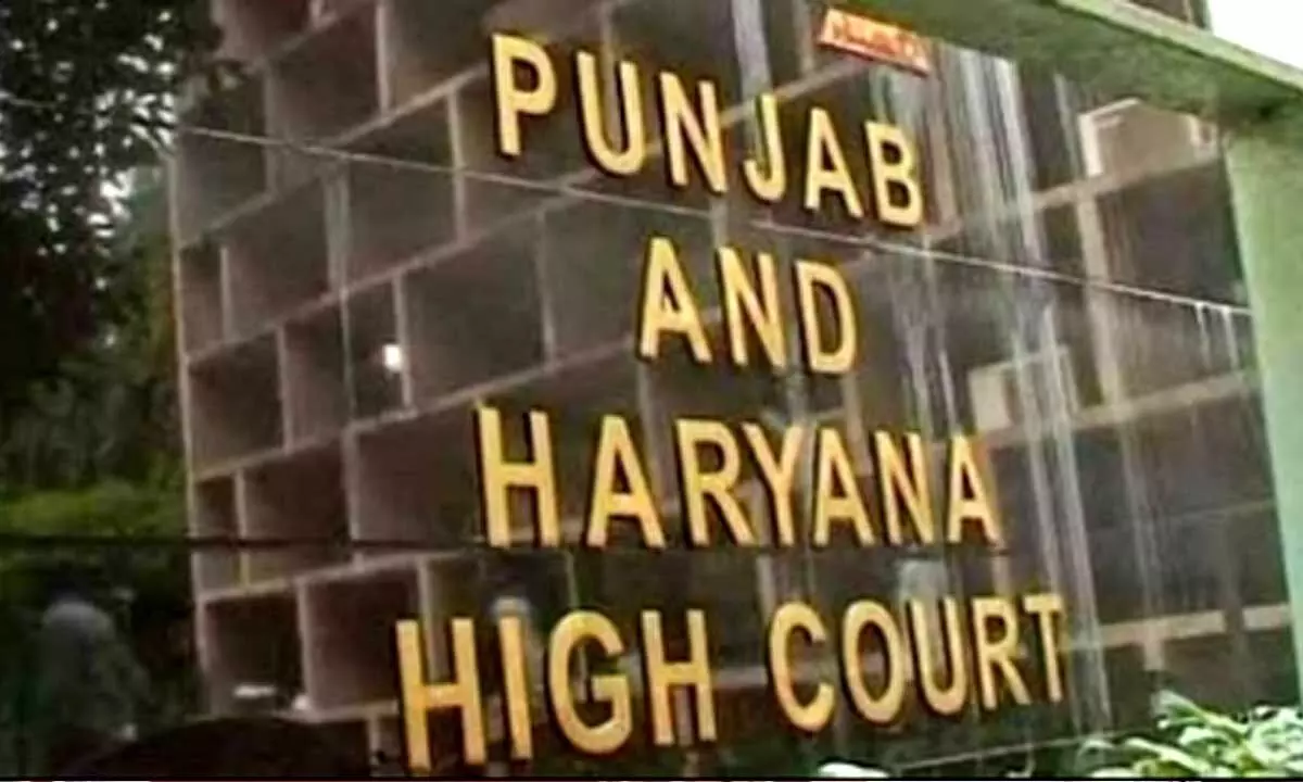 SC Collegium recommends appointment of 11 permanent judges in Punjab & Haryana HC