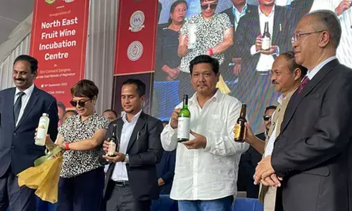 Meghalaya govt to promote wine industry to boost tourism, entrepreneurship: CM Sangma