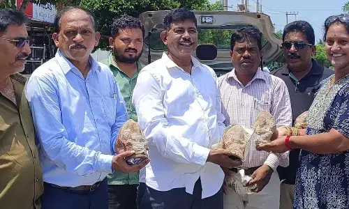 Srikakulam: People urged to worship clay-made Ganesh idols