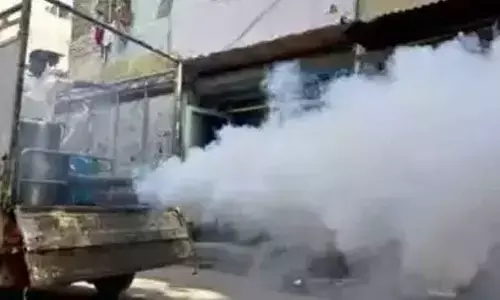 Delhi Deploys Over 1,000 Fogging Machines Amid Monsoon Woes, Aims To Control Mosquito-Borne Diseases