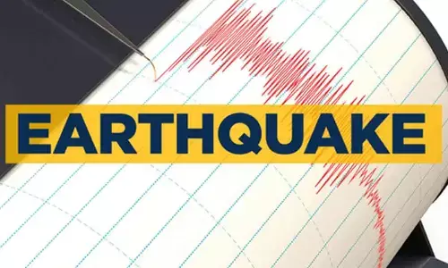 5.8 magnitude quake hits Izu Islands in Japan