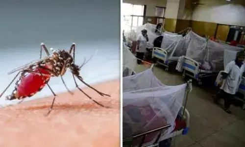 Several hospitals in Delhi witnessing surge in dengue patients