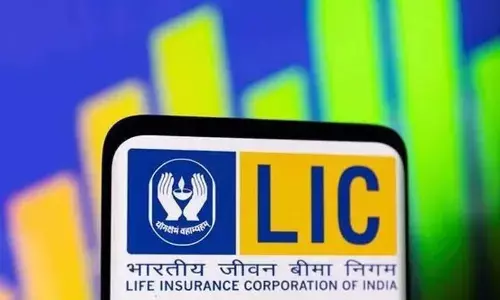 New welfare measures for LIC agents, employees