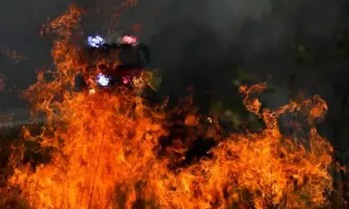 Intense heatwave, strong winds fuel bushfires in Australia