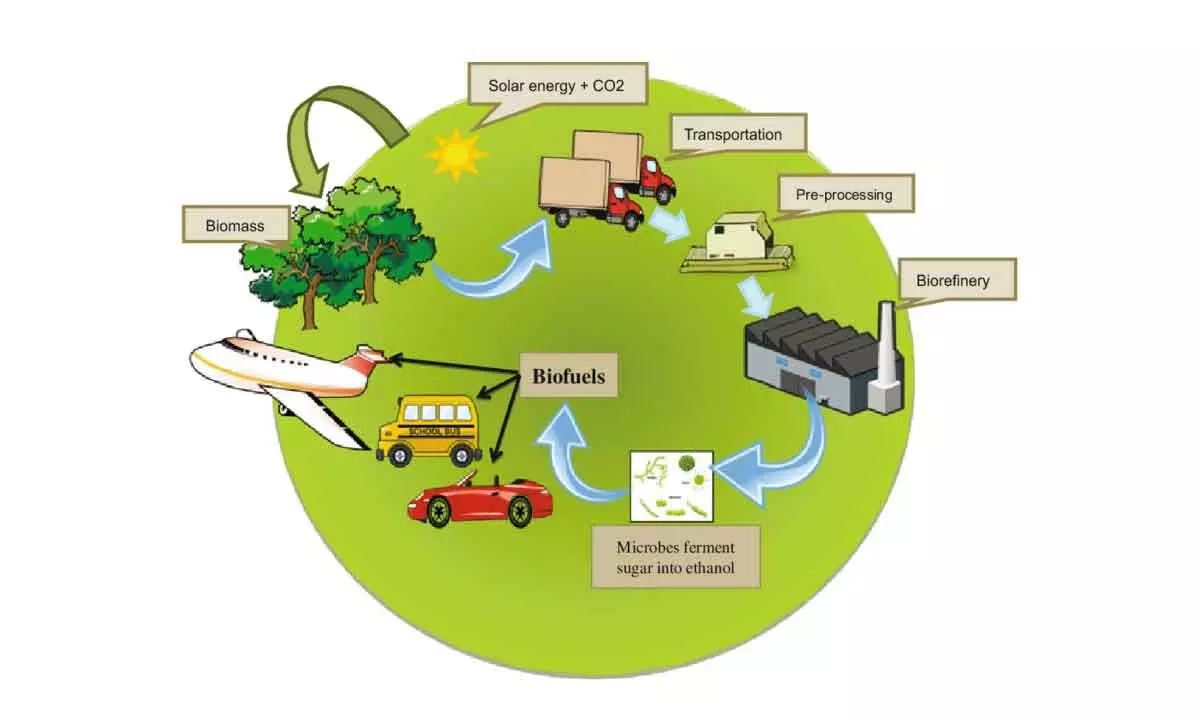 Biofuels to power clean energy drive