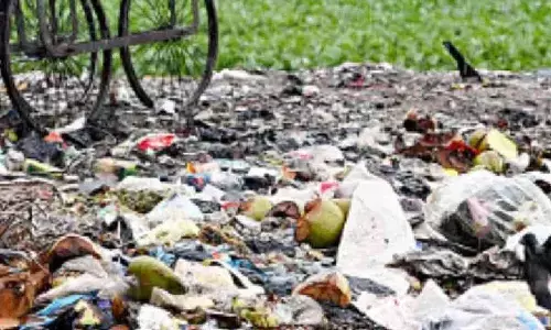 New Delhi: Mosquito-breeding sites plateaued