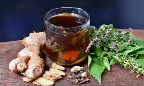 Ayurvedic therapeutic plant rediscovered in Arunachals forest