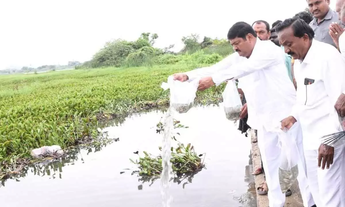 Warangal: State witnessing all-round growth says Nannapuneni Narender