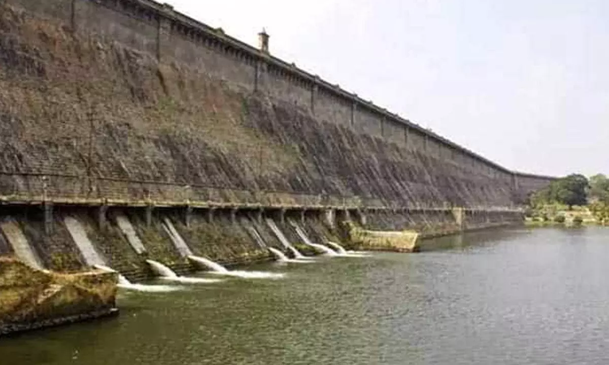 Tamil Nadu Seeks Central Government Support To Resolve Cauvery Water Dispute With Karnataka