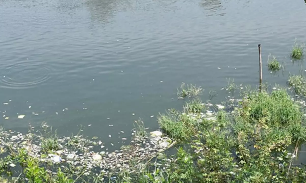 TN govt dept initiates cleaning drive of temple tanks