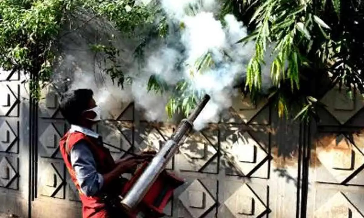 Bangladesh dengue death toll exceeds 900