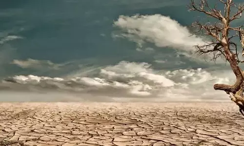 Karnataka seeks Rs 4,860 cr drought relief from Center