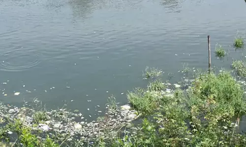 TN govt dept initiates cleaning drive of temple tanks