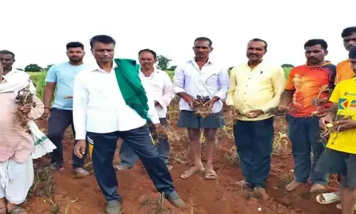 Farmers demand Rs 50 thousand compensation per acre or dont need