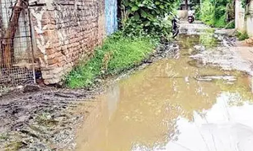 Fogging becomes a burden for Panchayats