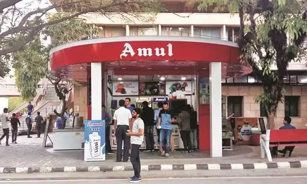 Amul expects no price hike after timely monsoon in Gujarat, says chief Jayen S Mehta