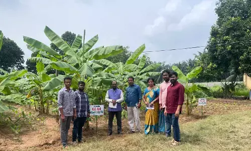 Rajamahendravaram: Doormat weaving training begins for rural women