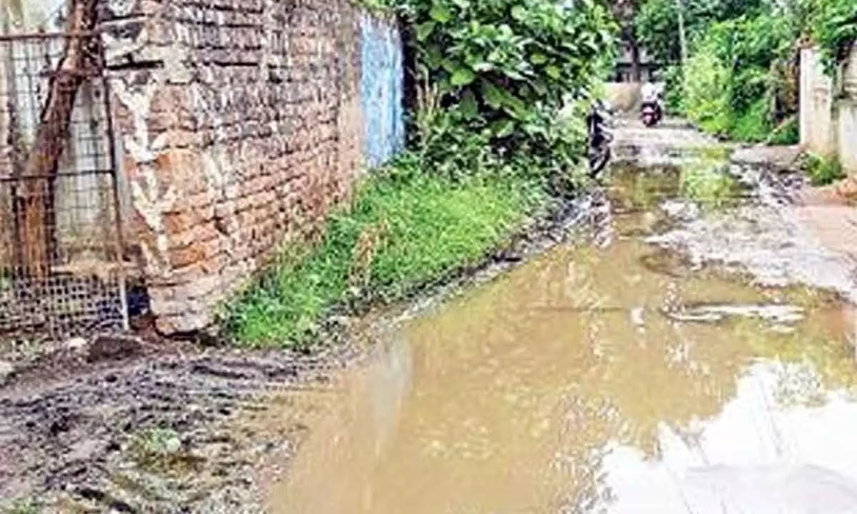 Stagnated water at a street in Tallapudi Panchayat of East Godavari district